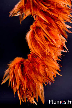Frange coq - long. plumes 10-15 cm - braise sauvage
